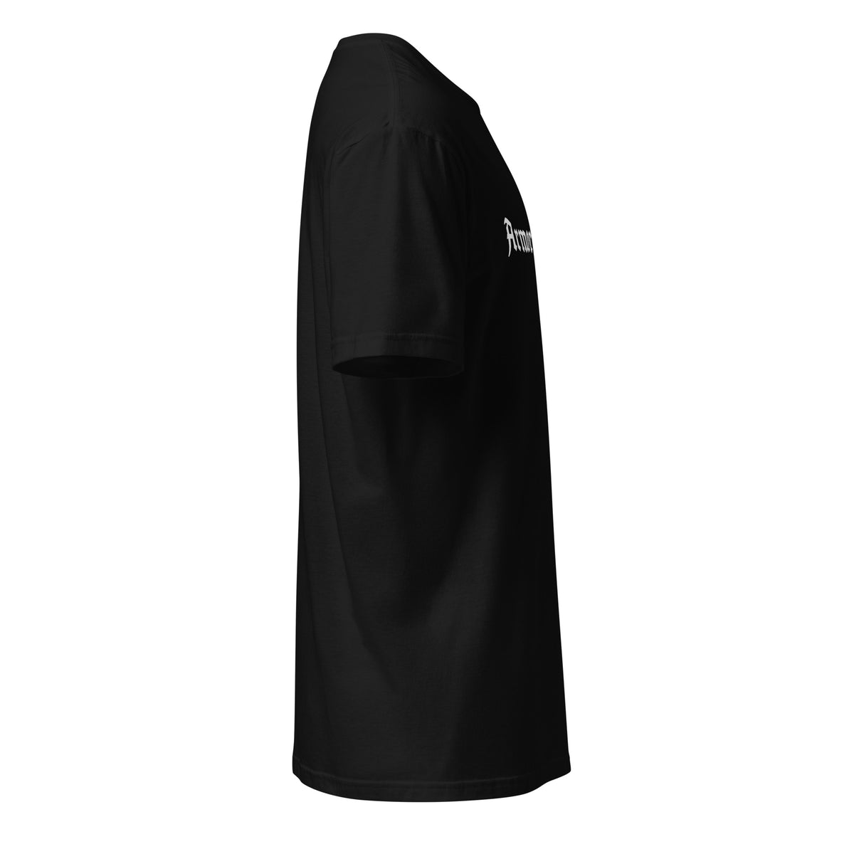 Armor of God Classic T-Shirt in black, right side view